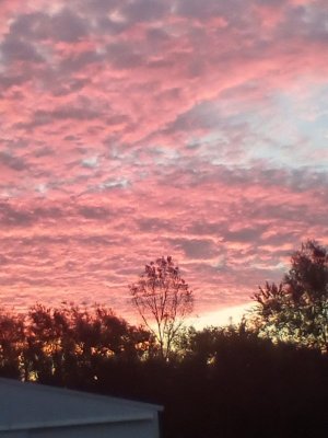 IMG_20251013_070727.jpg