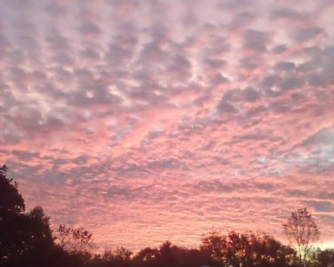 IMG_20251013_072617.jpg
