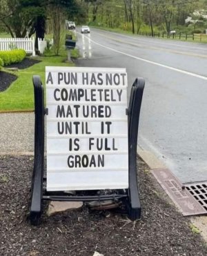 puns.jpg