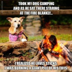 IMG_3055.jpeg