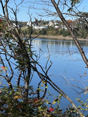 IMG_0969.jpeg