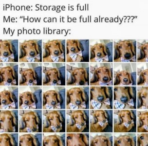 FB_IMG_1678054437656~2.jpg