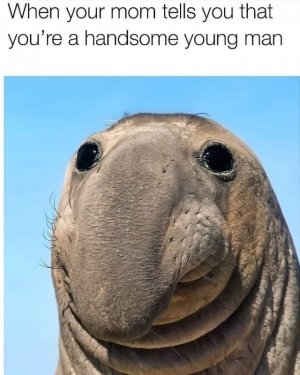 559130328_1228992262599702_203212313904237860_n.jpg