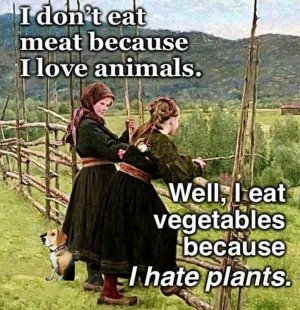 FB_IMG_1760368666756.jpg