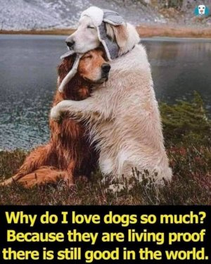 FB_IMG_1676505805535~2.jpg