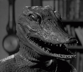 tumblr_1ad16a80598f2330ebe9c01733249330_76386117_640.gif
