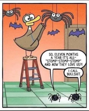 FB_IMG_1760329665936.jpg