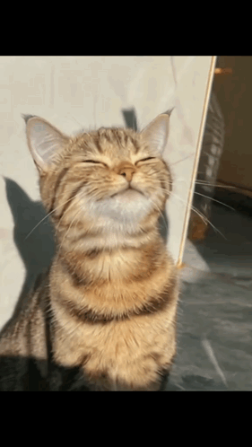 1000026140.gif