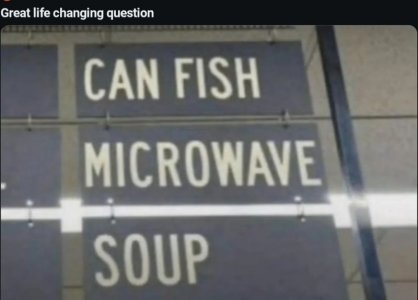 1000006893.jpg