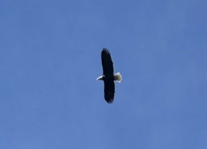 IMG_1915.jpeg IMG_1915.jpeg