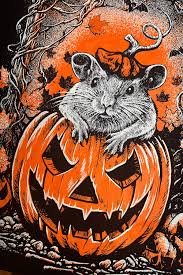 images (14).jpg