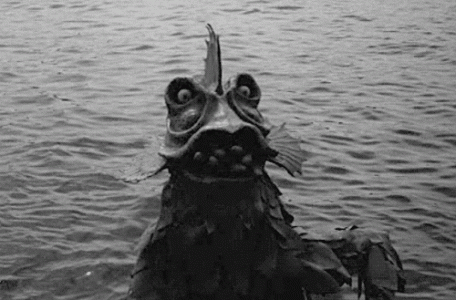 tumblr_cbbeb90772e153c7e1ea0767b9d9fbdf_017d06f3_500.gif