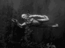 creature-from.gif