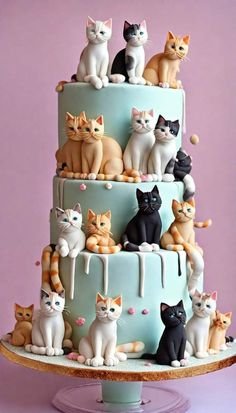 HBD Cat Cake.jpg