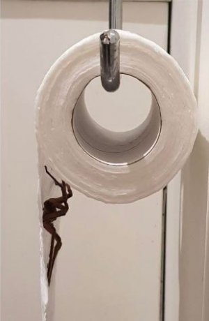 tp-over.JPG