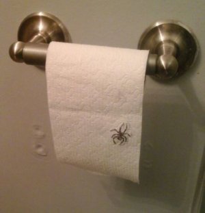 tp-under.JPG