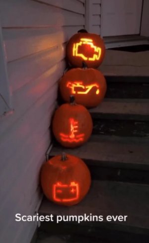 pumpkins.jpg