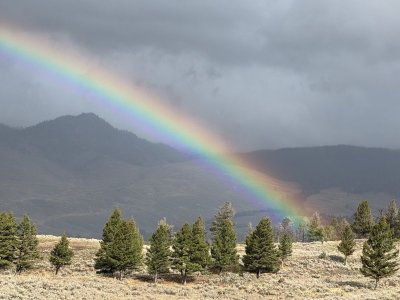 Rainbow.jpg