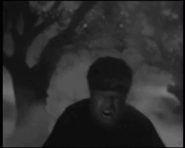 tumblr_mr53ojH5ZB1s0xrqjo1_500.gif