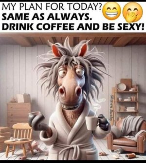 FB_IMG_1760499007282.jpg