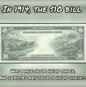 10 dollar bill.jpg