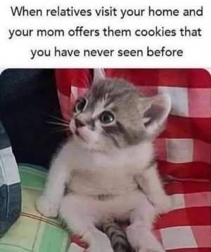 FB_IMG_1760542899527.jpg