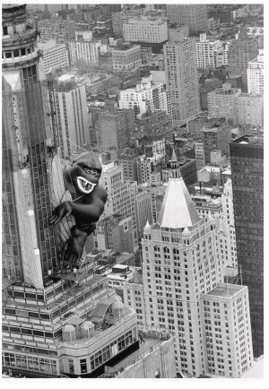 kong.jpg