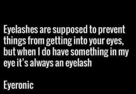 eyelash.jpg