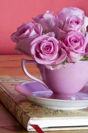 pink-teacup-flower.jpg