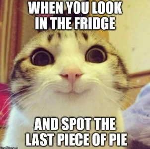 472345856_926691499613564_5347561750469268811_n.jpg