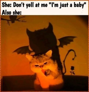 FB_IMG_1760542806492.jpg