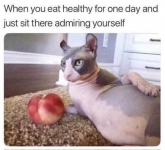 FB_IMG_1760587329309.jpg