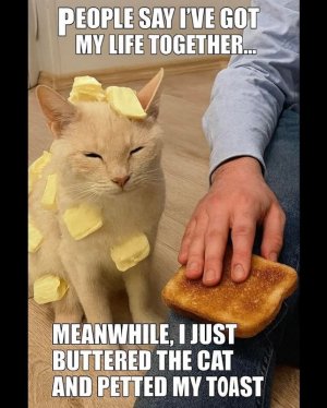 FB_IMG_1760541754106.jpg