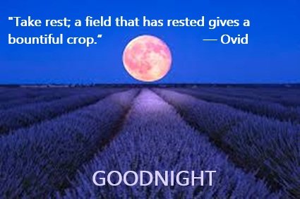 night 10 16 25.jpg