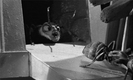 outer limits 2.gif