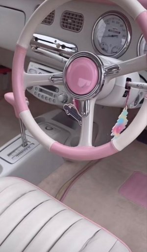 pink steering.jpg