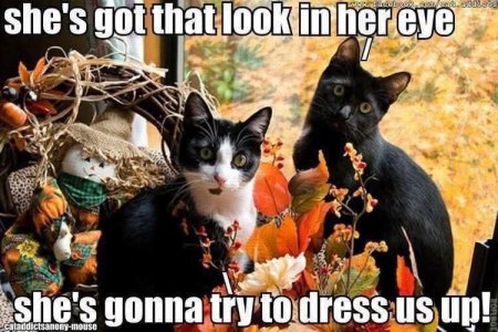 FB_IMG_1760643911241.jpg