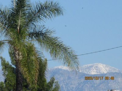 IMG_2590.JPG