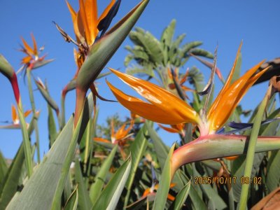 IMG_2556.JPG