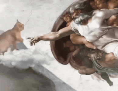 0.gif