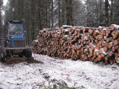 Log Stack_1.JPG