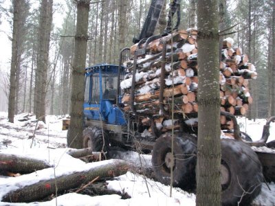 Log LOad_1.JPG