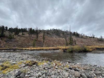 101225viewwestslough11.jpg
