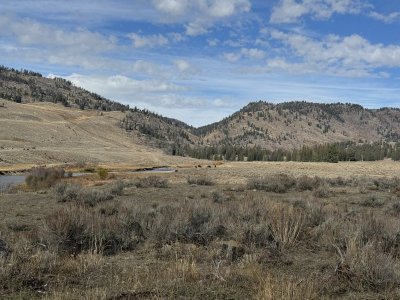101325viewupstreamsloughckrd.jpg