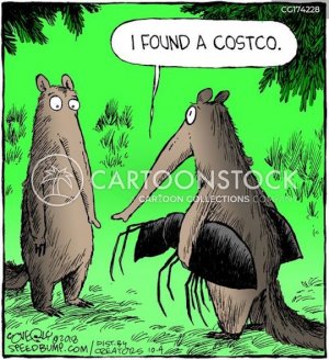 Anteaters.jpg