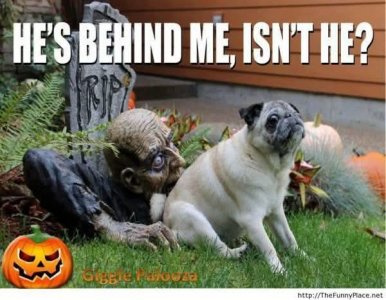 FB_IMG_1760815823025.jpg