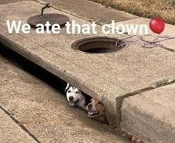 download.jpg