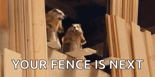 1000026285.gif