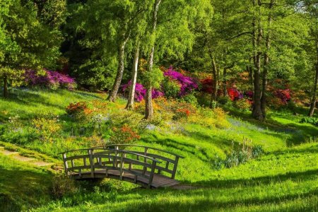 green park.jpg