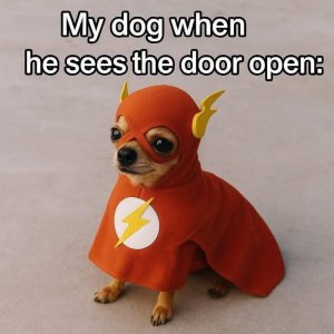 FB_IMG_1760825227051.jpg